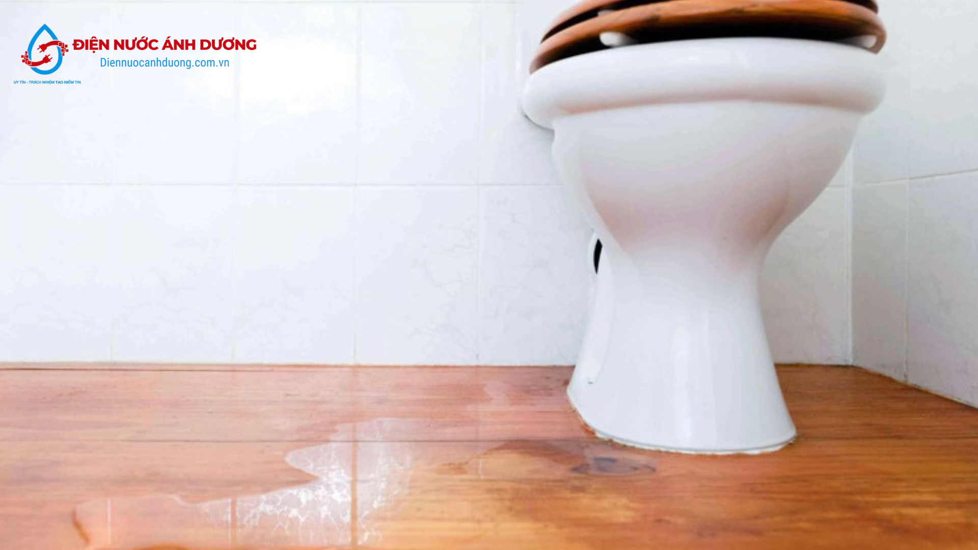 Hiện tượng bồn cầu bị rò rỉ nước